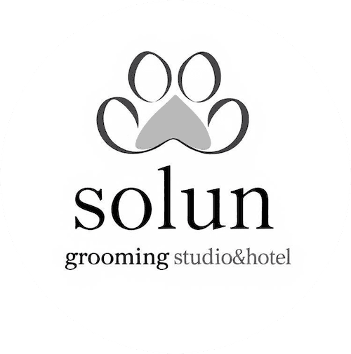 大田区千鳥町駅徒歩6分のトリミングサロン｜solun grooming studio&hotel